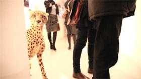 Paris Sauvage